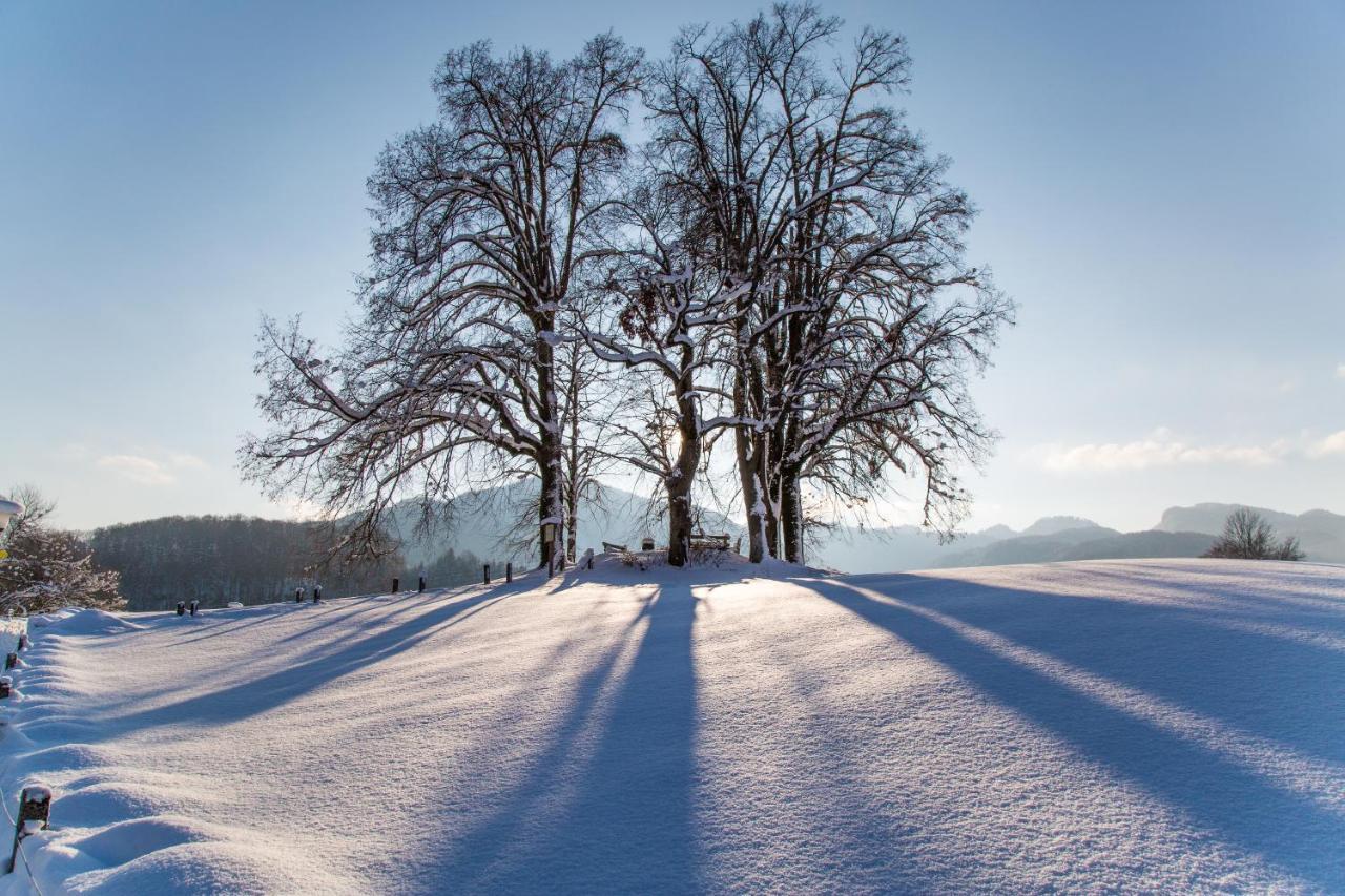 Kaiser Franzl Lägenhet Bad Ischl Exteriör bild